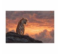 CUDAOO Moderno TIGRE Art Animali Quadri Tigre sulla cima di una scogliera Quadri Moderni Soggiorno(arancione46)-40x60cm Non incorniciato