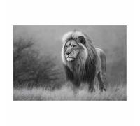 CUDAOO Quadri Moderni Ritratto Leone Quadro su Tela Leoni nella nebbia per soggiorno, camera da letto, decorazione per la casa(Bianco e nero)-60x80cm Non incorniciato
