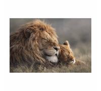 CUDAOO Quadro Animali Leoni Immagini Moderni Murale Leoni che abbracciano il sonno per soggiorno, cucina, decorazioni per la casa(marrone13)-60x90cm Non incorniciato
