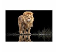 CUDAOO Quadro Animali Leoni Immagini Moderni Murale Ombra del Leone per soggiorno, cucina, decorazioni per la casa(marrone181)-60x90cm Non incorniciato