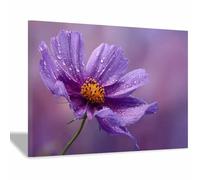 CUDAOO Semplice arte botanica Stampe su Canvas Rugiada autunnale viola per Camera da Letto Agriturismo Soggiorno Bagno(viola)-60x80cm Incorniciato