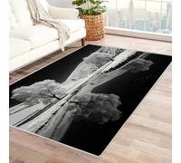 CUDAOO Tappetino a pelo corto vintage per interni pieghevole Albero riflesso nel fiume per camera da letto, soggiorno, corridoio, ingresso(In bianco e nero)-150x240cm