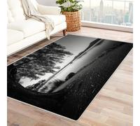 CUDAOO Tappetino a pelo corto vintage per interni pieghevole Barche tra i salici per soggiorno, camera da letto, cucina, antiscivolo(In bianco e nero)-90x120cm