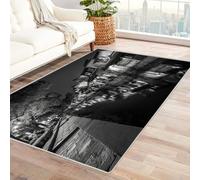 CUDAOO Tappetino a pelo corto vintage per interni pieghevole Lanterne nel vicolo dell'acqua per soggiorno, camera da letto, cucina, antiscivolo(In bianco e nero)-90x120cm