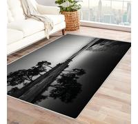CUDAOO Tappetino a pelo corto vintage per interni pieghevole Ombre degli alberi sul lago decorazione per casa, cucina, pavimento, antiscivolo, lavabile(In bianco e nero)-240x300cm