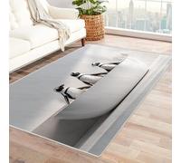 CUDAOO Tappetino a pelo corto vintage per interni pieghevole Pinguini nella vasca da bagno per soggiorno, camera da letto, cucina, antiscivolo(Bianco e nero)-150x210cm