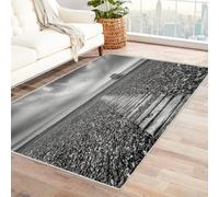 CUDAOO Tappetino a pelo corto vintage per interni pieghevole Ponte solitario sul mare per camera da letto, soggiorno, corridoio, ingresso(In bianco e nero)-120x180cm