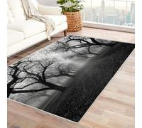 CUDAOO Tappetino a pelo corto vintage per interni pieghevole Sentiero tra gli alberi nella nebbia per soggiorno, camera da letto, cucina, antiscivolo(In bianco e nero)-90x150cm