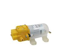 CUDTAPI Micro Pompa dell'Acqua 4L/min, Pompa a diaframma elettrica, Piccola Pompa, Pompa a spruzzo agricola ad Alta Pressione 12v Pompa for autolavaggio(40-00y)