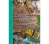 Cueillez... vos encens !: Fabriquez-les grâce aux plantes récoltées autour de chez vous