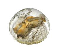 Cuffia da doccia a doppia fascia elastica impermeabile con orecchie arricciate e farfalla e violoncello cofano da cucina a prova di olio può essere riutilizzata