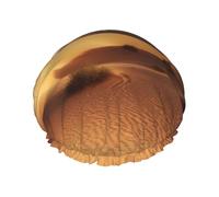 Cuffia da doccia con paesaggio del deserto per donne e uomini, grande, riutilizzabile, a doppio strato, impermeabile, con fascia elastica, per tutte le acconciature, adatta ai viaggi