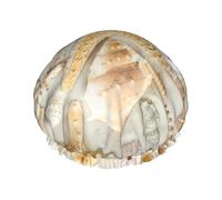 Cuffia da doccia con stampa di conchiglie marine e spiaggia sabbiosa da donna, grande fascia elastica lavabile