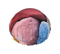 Cuffia da doccia riutilizzabile con stampa di quadrati colorati diversi per le cuffie da doccia delle donne con elastico a doppio strato per il bagno dei capelli lunghi