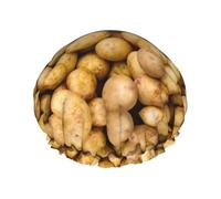 Cuffia da doccia stampata con patate da giardino, protezione per capelli a doppio strato per la cura del viso, involucro riutilizzabile per capelli