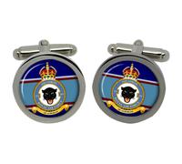 Cufflinks 255 Squadron, RAF In Scatola