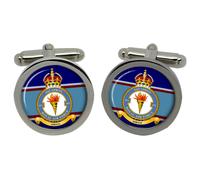 Cufflinks 651 Squadron, RAF In Scatola