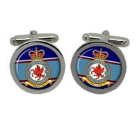 Cufflinks Del 18° Squadron, RAF In Scatola