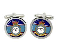 Cufflinks Del 25° Squadron, RAF In Scatola
