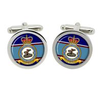 Cufflinks Del 66° Squadron, RAF In Scatola