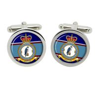 Cufflinks Del 7630 Intelligence Squadron RAuxAF In Scatola