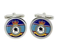 Cufflinks Del 98° Squadron RAF In Scatola