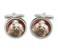 Cufflinks Maltese Terrier Di Carl Reichert In Scatola Di Cromo