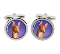 Cufflinks Pharaoh Hound In Scatola Di Cromo
