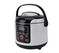 Cuifati Box per il Pranzo Elettrico, Produttore di Riso Portatile Non Bastoncino da 12 V, Scatola da Pranzo Isolante per Auto con Cestino a Vapore in Acciaio Inossidabile, per Viaggi,