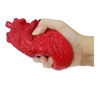 Cuifati Giocattolo Antistress Realistico con Modello di Cuore Umano per la Riduzione Dell'ansia per Adulti e Bambini, Giocattolo Antistress Portatile per ADHD e Autismo (Rosso)