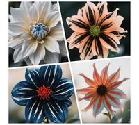 CUIKWA Bulbi Dalia Super Collezione - rosso/bianco/rosa/viola/giallo Dalia Bulbi Misti - Piante di Dalia con Fiori per Giardino e Vasi (non Artificiale)-10bulbi-E
