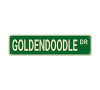 CUIYMXSC Goldendoodle Dr Street Signs Metal Tin Signs Goldendoodle Decor Goldendoodle Sign Dog Gift Wall Decor per la casa camera da letto uomo grotta 40,6 x 10,2 cm