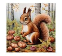 Cukol Cukol Kit Punto Croce Scoiattolo Schemi Quadri Set Ricamo Punto Croce Kit da Ricamare Principianti Starter Prestampato Stampato Completo Bambini Animale Cross Stitch Embroidery Ricami 40 x 40 cm