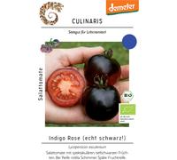 Culinaris Pomodoro Bio - Indigo Rose - 1 conf.
