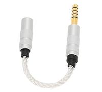 Culnflun Cavo 'adattatore per cuffie 4,4 mm a 3,5 mm, cavo adattatore audio per la pelle trasparente per la pelle trasparente per NW ZX300A NW WM1A WM1Z PHA 2A Player 15 cm
