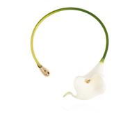 Cult Gaia - Choker Calla - - Accessories - Donna - Verde - ONE SIZE
