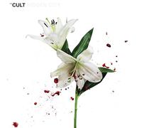 Cult - Hidden City