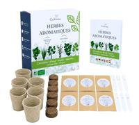 CULTIVEA® Kit Erbe Aromatiche da Interno - 6 Piante Aromatiche da Coltivare - Basilico, Menta, Prezzemolo, Timo, Erba Cipollina e Coriandolo - Mini Orto in Casa - Idea Regalo