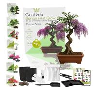 CULTIVEA Kit First Bonsai - Kit Completo con Semi, Accessori e Guida - Bonsai da Coltivare | Idea Regalo Originale (Purple Wine)
