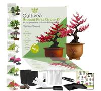 CULTIVEA Kit First Bonsai - Kit Completo con Semi, Accessori e Guida - Bonsai da Coltivare | Idea Regalo Originale (Wintersweet)