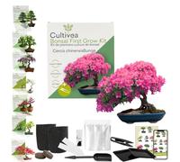 CULTIVEA Kit First Bonsai - Kit Completo con Semi, Accessori e Guida - Bonsai da Coltivare | Idea Regalo Originale (Cercis chinensisBunge)