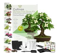 CULTIVEA Kit First Bonsai - Kit Completo con Semi, Accessori e Guida - Bonsai da Coltivare | Idea Regalo Originale (Cornus Kousa)