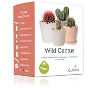CULTIVEA® Mini - Kit di cactus pronto da coltivare - Semi francesi 100% ecologici - Fai giardinaggio e decora - Idea regalo (Pitaya "Dragon Fruit", Ferocactus, Pilosocereus e Cactus in Mix)
