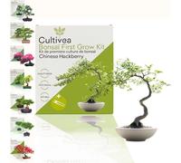 Cultivea Set Bonsai - Hackberry - 1 set