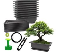 Cultivea Set con 10 Vasi Bonsai - 1 set