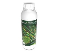 CULTIVERS Equiseto 1 L. Biostimolante Naturale preventivo e curativo. Azione fungicida La sostanza di Base rafforza Il meccanismo di Difesa delle Piante