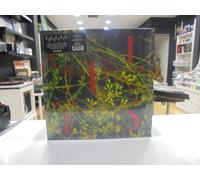 CULTS LP EUROPE HOST 2020 EDIZIONE LIMITATA INDIE EVERGREEN VINILE
