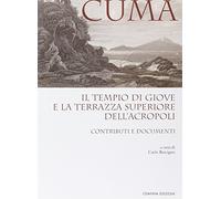 Cuma. Il tempio di Giove e la terrazza superiore dell'Acropoli. Contributi e documenti