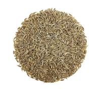 Cumino Semi 50g Puro - Spezia Indiana, Carvi, per Cucina Etnica, Pane e Marinature | Aroma Intenso, Digestivo Naturale | Qualità Premium (Massima Freschezza)