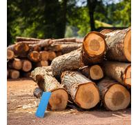 Cuneo Abbattimento Alberi Offerta Da Giardino Strumento Registrazione